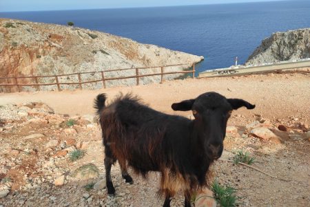 Chania Villages Tour - Private tour to the Villages of Apokoronas in Chania Crete